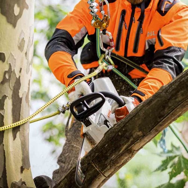 Stihl Αλυσοπρίονο Μπαταρίας MSA 161 T με Λάμα 25cm - Image 5